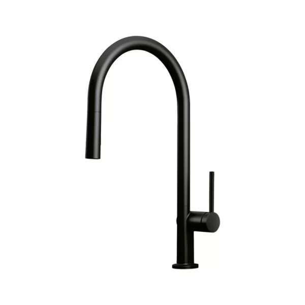 Professional Black Kitchen Faucet with Pull Down Sprayer