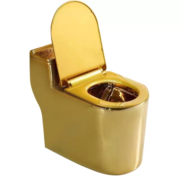 Gold Plated One Piece Ceramic Toilet in Dubai