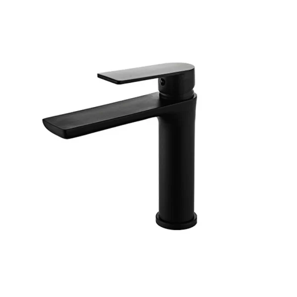 Stainless Steel Black Basin Sink Faucet