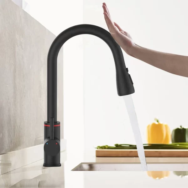 Premium Black Kitchen Faucet with LED & Touch Features