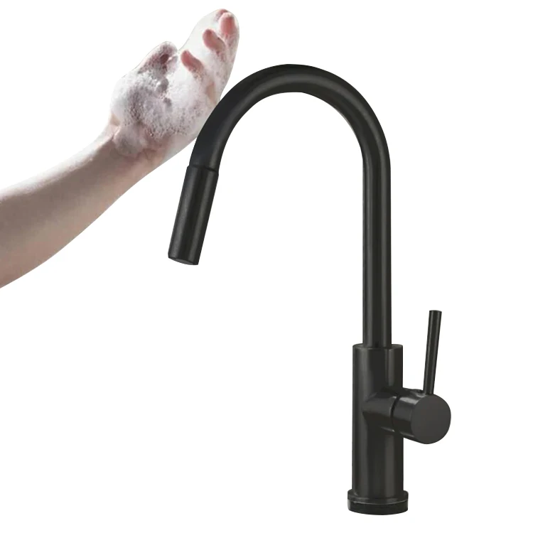 Kitchen Faucet: Sleek Modern Design & Functionality